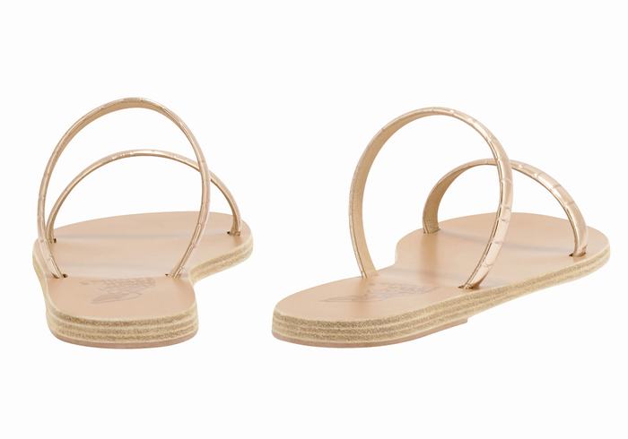 Rose Gold Ancient Greek Sandals Echidna Women Slide Sandals | VTY5441OE