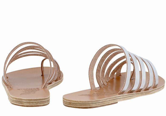 Silver Ancient Greek Sandals Niki Leather Women Toe-Post Sandals | TEH9833SR