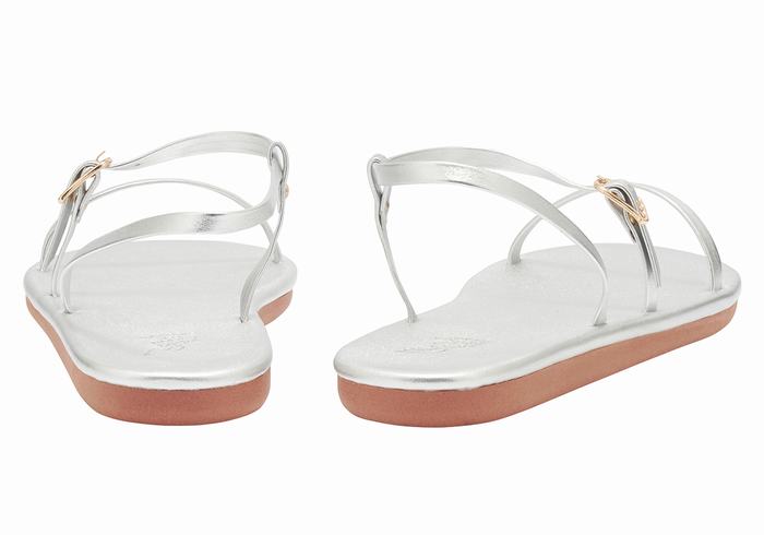 Silver Ancient Greek Sandals Niove Women Back-Strap Sandals | TGR8569BH