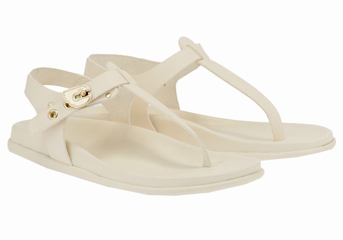 White Ancient Greek Sandals Alki Flip Flop Women Back-Strap Sandals | RMX1747UR