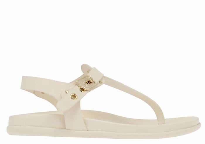 White Ancient Greek Sandals Alki Flip Flop Women Back-Strap Sandals | RMX1747UR