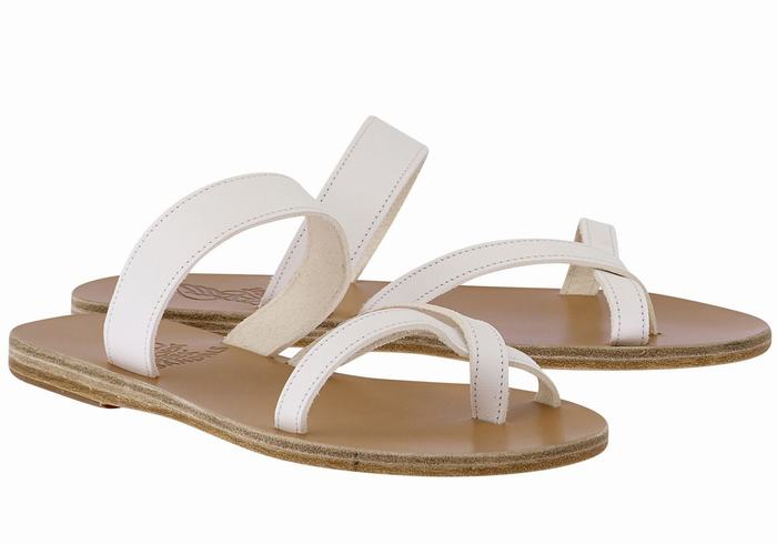 White Ancient Greek Sandals Daphnae Leather Women Slide Sandals | NTC6879TL