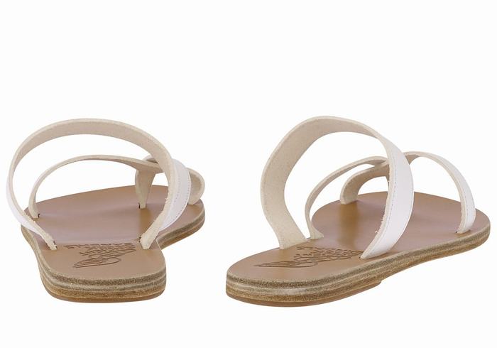 White Ancient Greek Sandals Daphnae Leather Women Slide Sandals | NTC6879TL