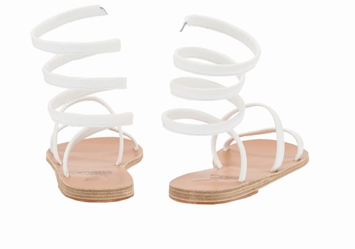 White Ancient Greek Sandals Ofis Women Gladiator Sandals | EZY1539RR