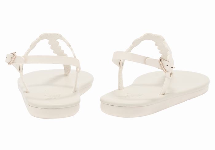 White Ancient Greek Sandals Velos Flip Flop Women Back-Strap Sandals | YMQ5455XU